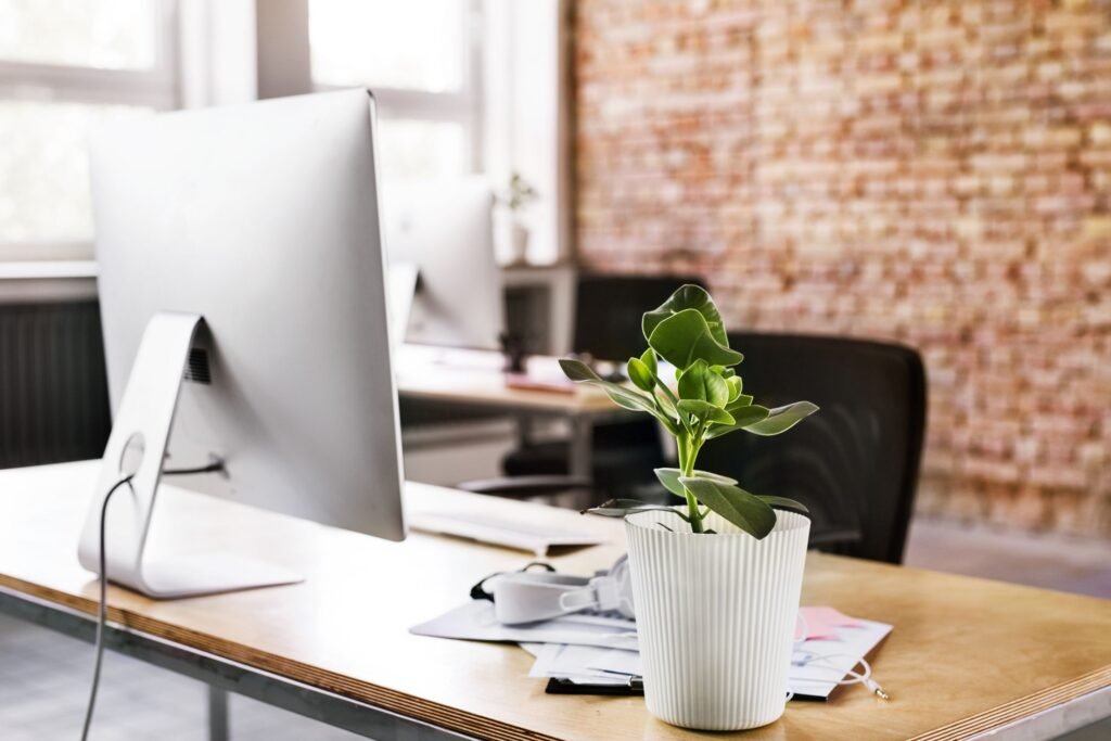 a plant in office